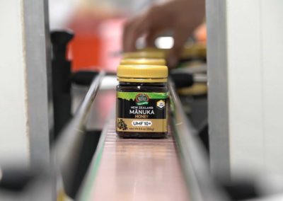manuka honey production on conveyor belt