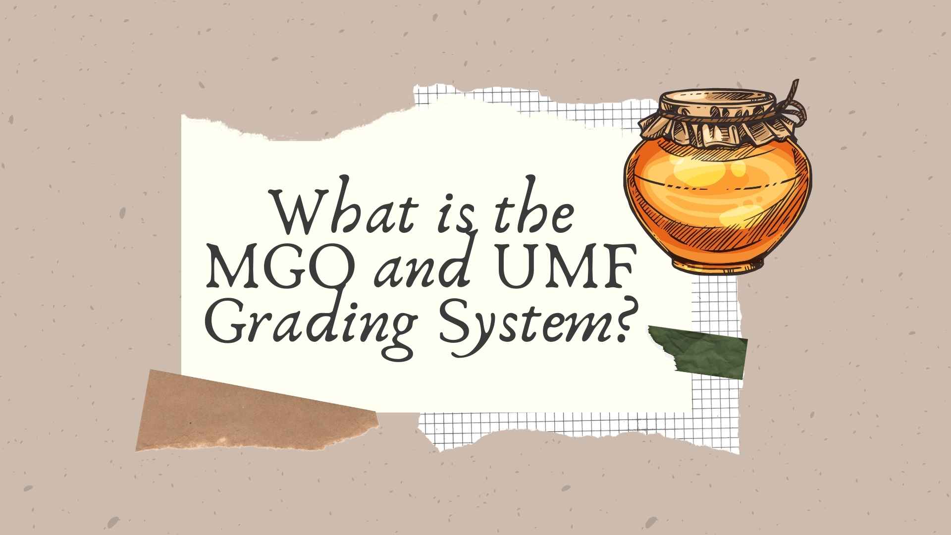 What is the MGO and UMF Grading System? 