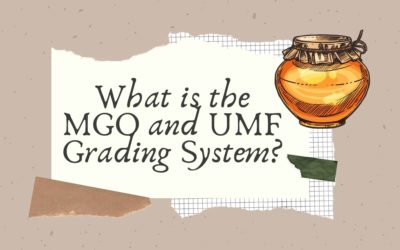 compare mgo and umf