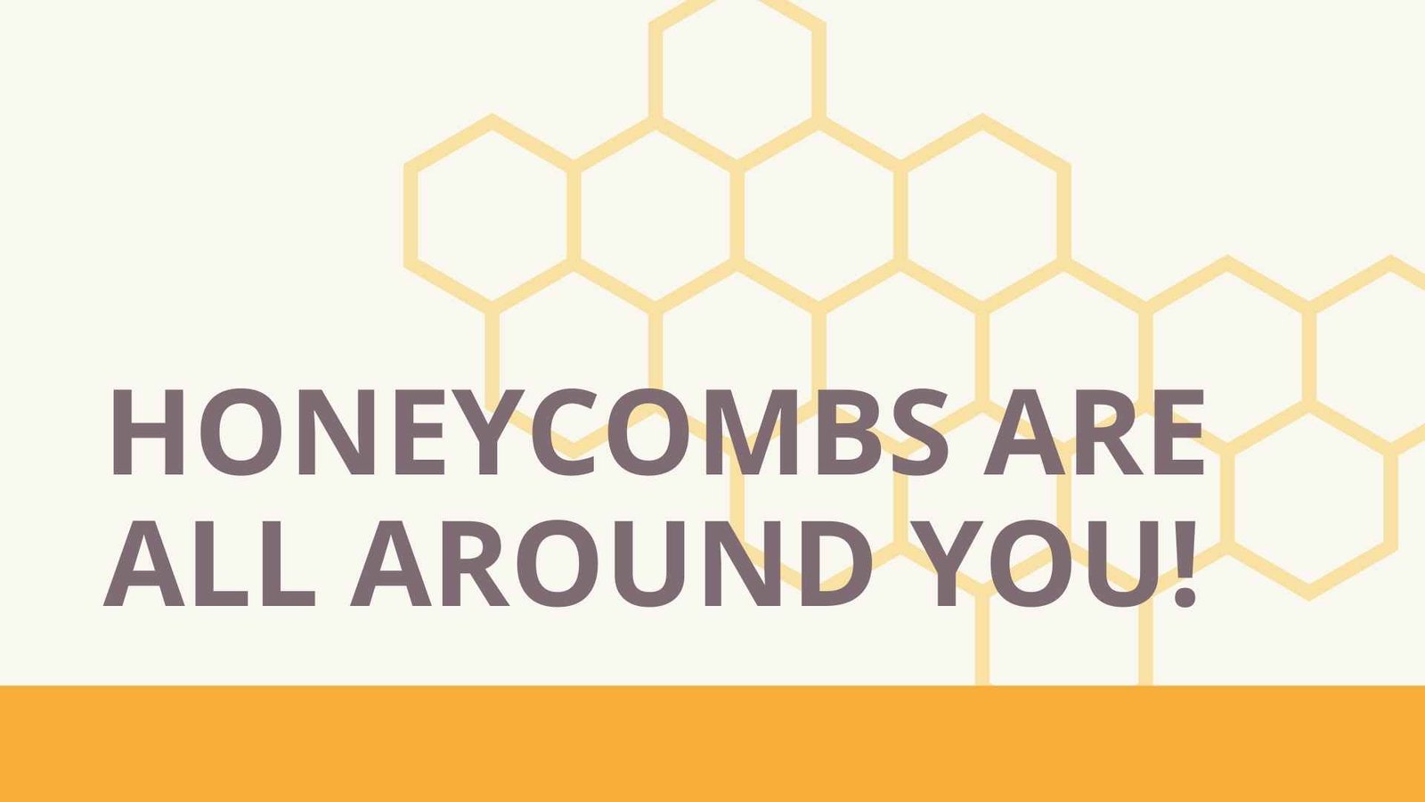 honeycombs are all around you