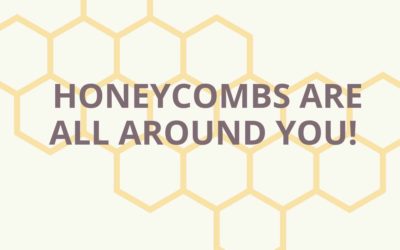 honeycombs are all around you