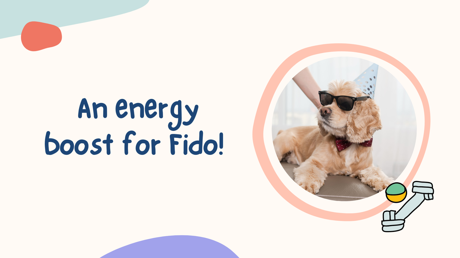 energy boost for dogs