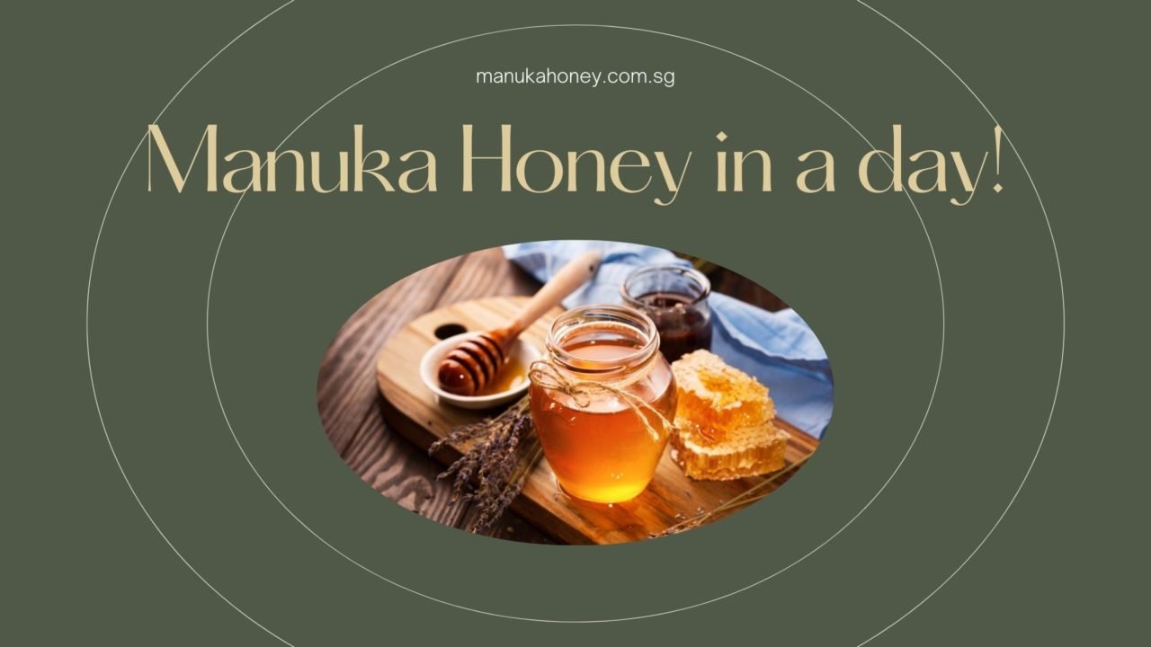 How Much Manuka Honey Can I Eat In A Day? - Manuka Honey Singapore