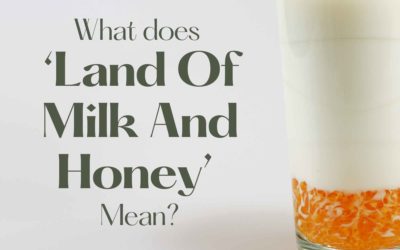 What Does The Phrase ‘Land Of Milk And Honey’ Mean?