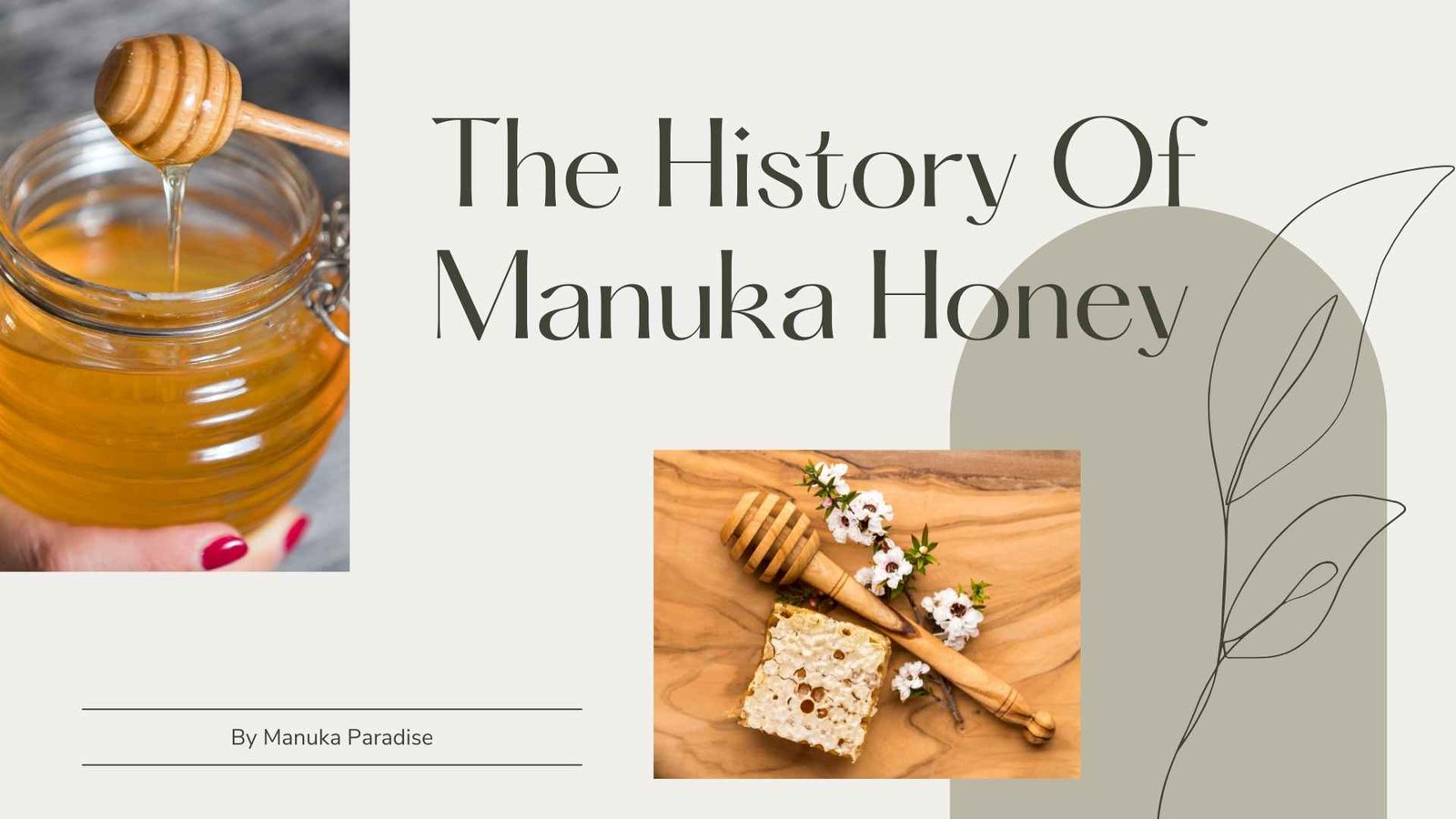 the history of manuka honey