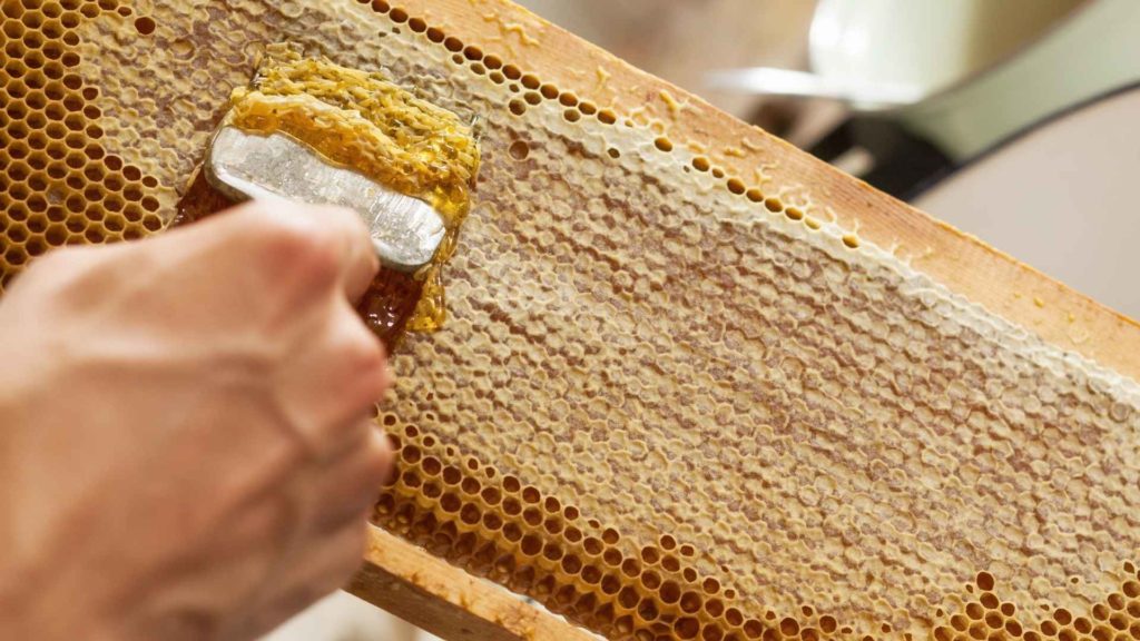 How Is Honey Extracted From The Honeycomb?