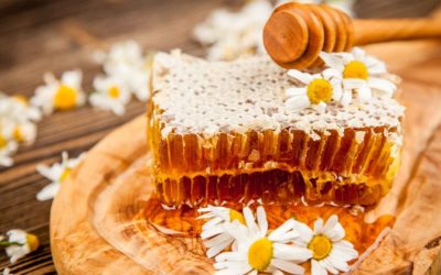 The Making Of Honeycomb and Its Uses!