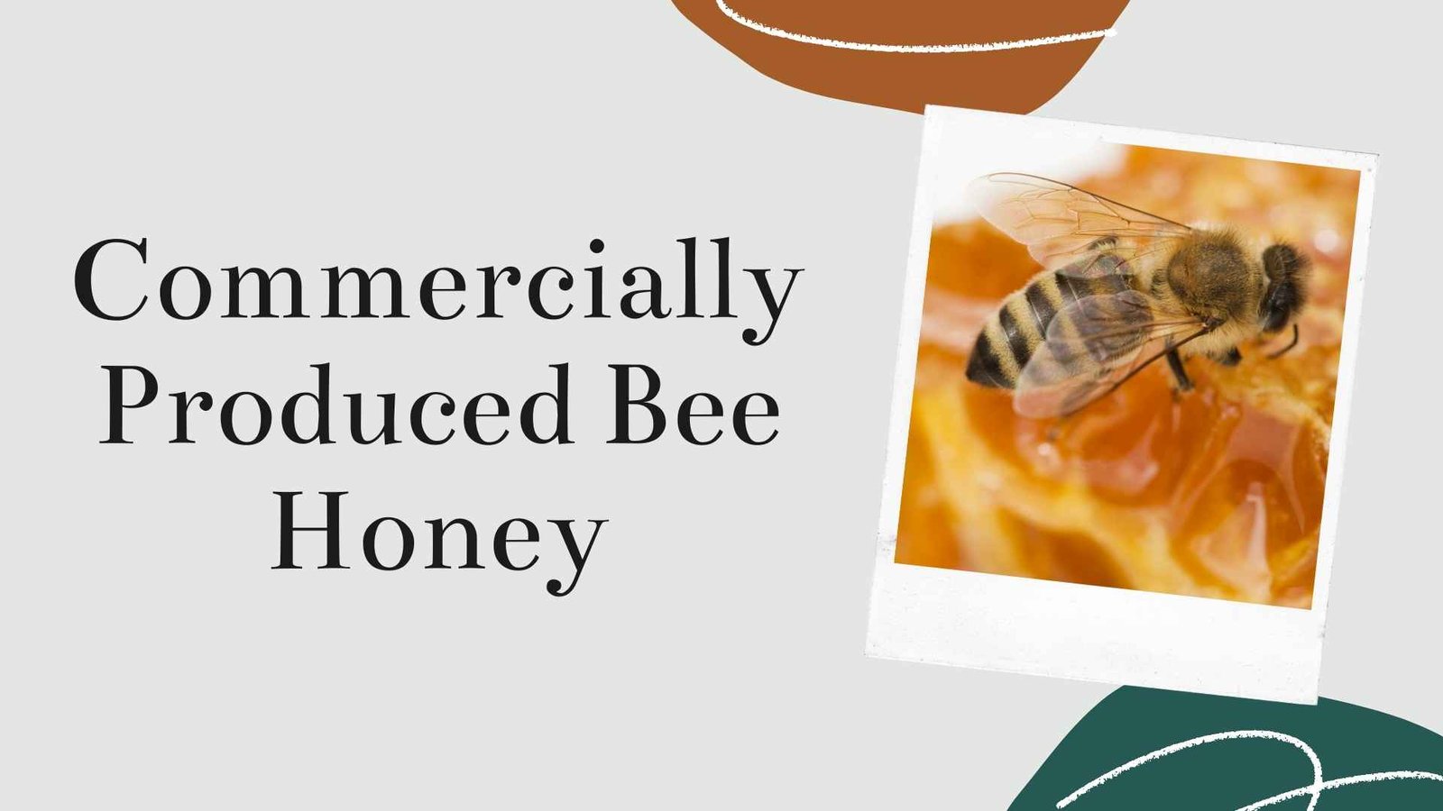 commercially produced honey bee