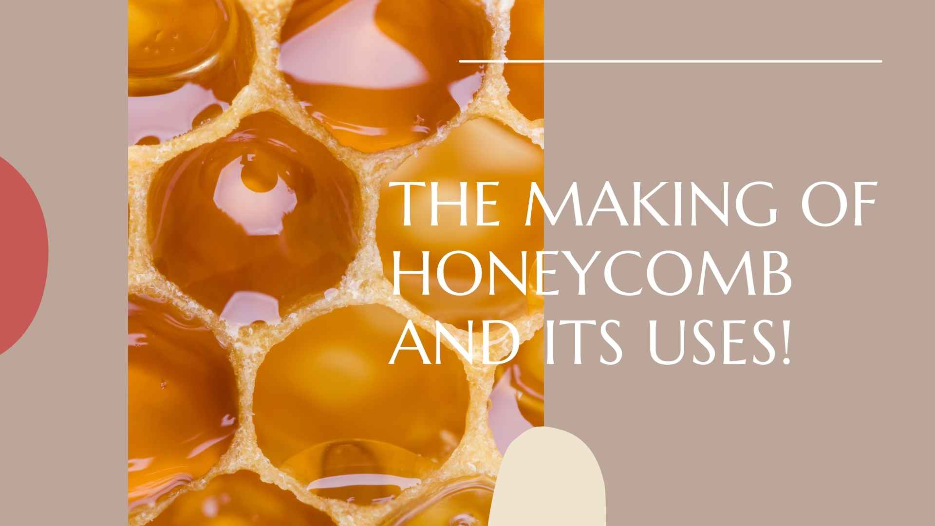 The Making Of Honeycomb and Its Uses! 
