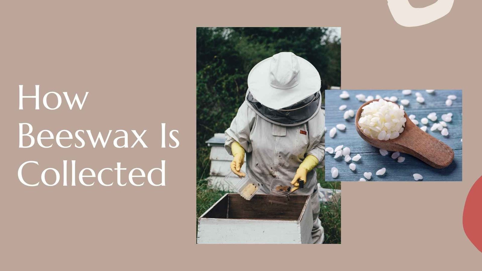 how beeswax is collected