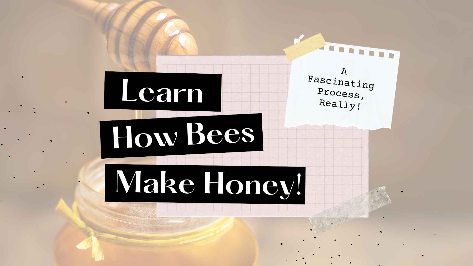 Learn How Bees Make Honey! 