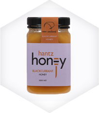 Blackcurrant Honey