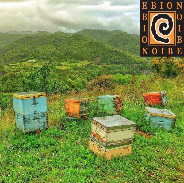 Ebion Honey Landscape