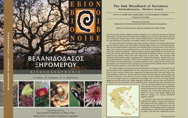 Ebion Oak Tree Honey Location