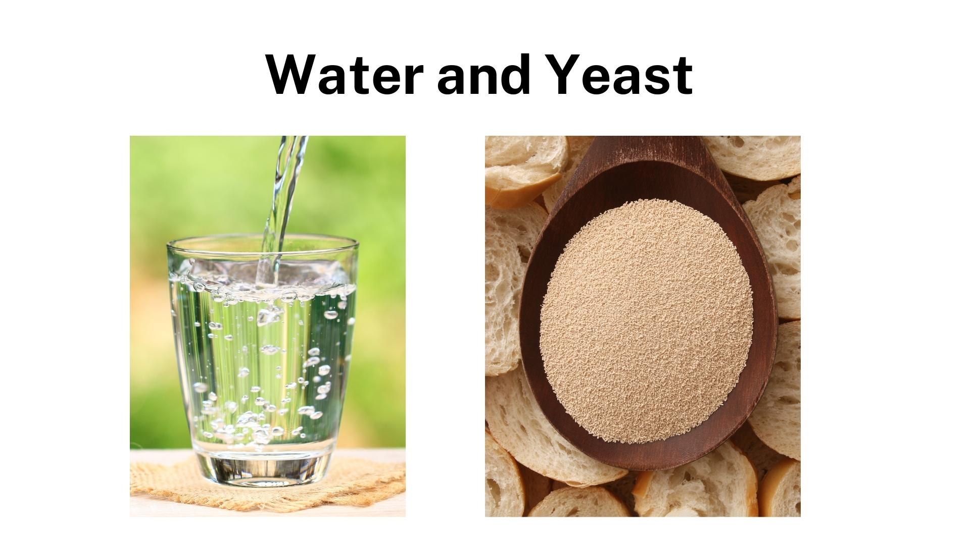 Water and Yeast in Honey