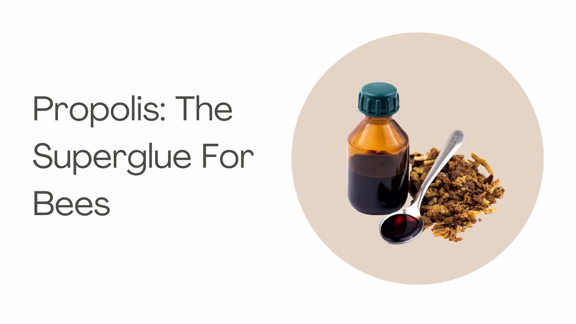Propolis: The Superglue For Bees