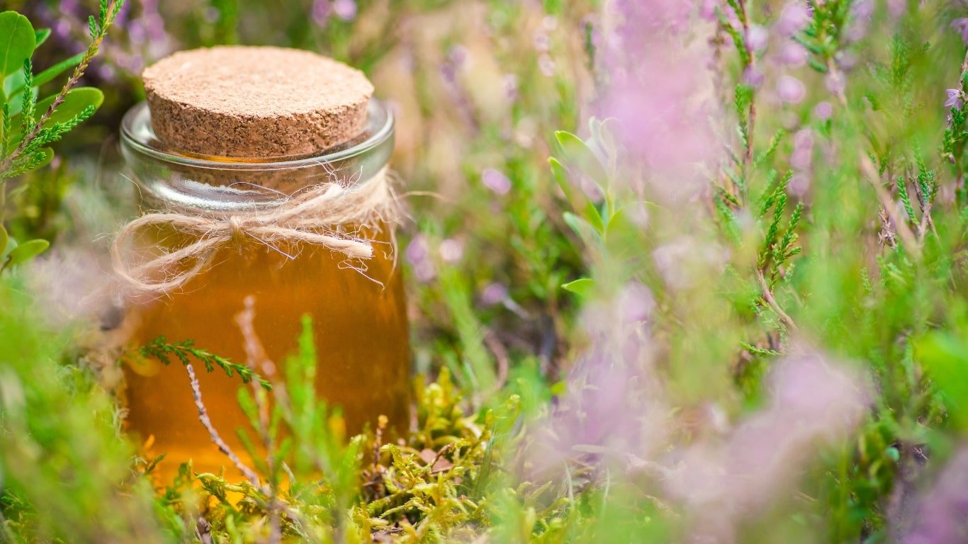 Heather Honey – Origins, Uses and Benefits - Manuka Honey Singapore