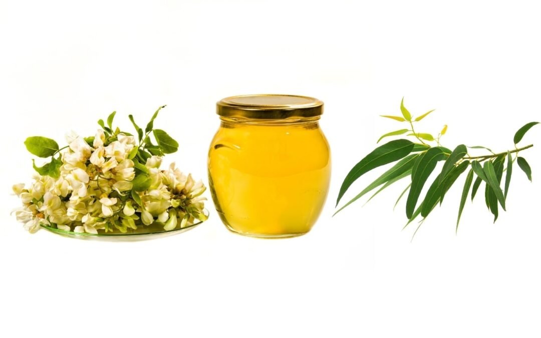Acacia vs Eucalyptus Honey: A Sweet Showdown of Nature’s Finest