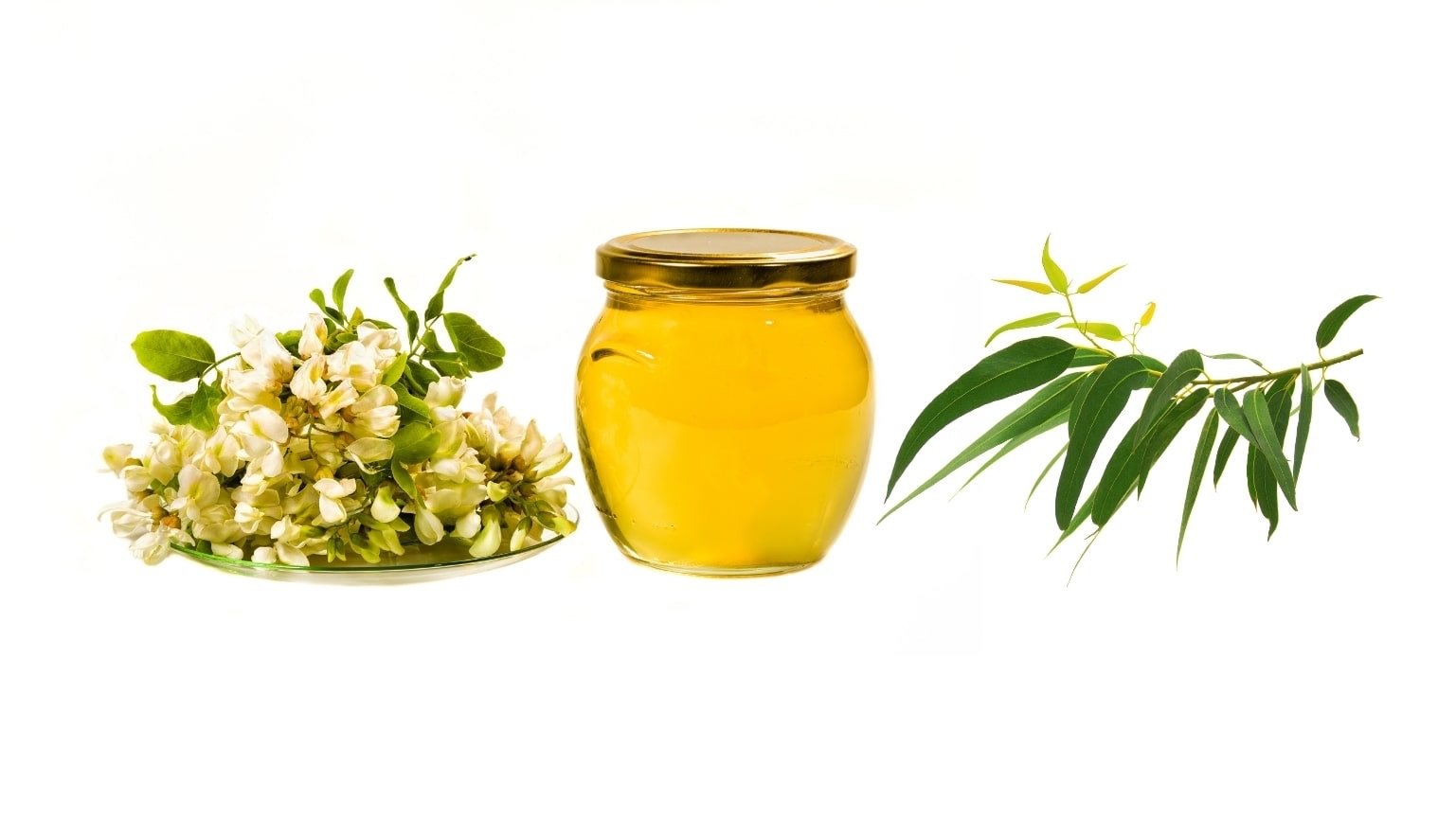 Eucalyptus honey vs acacia honey