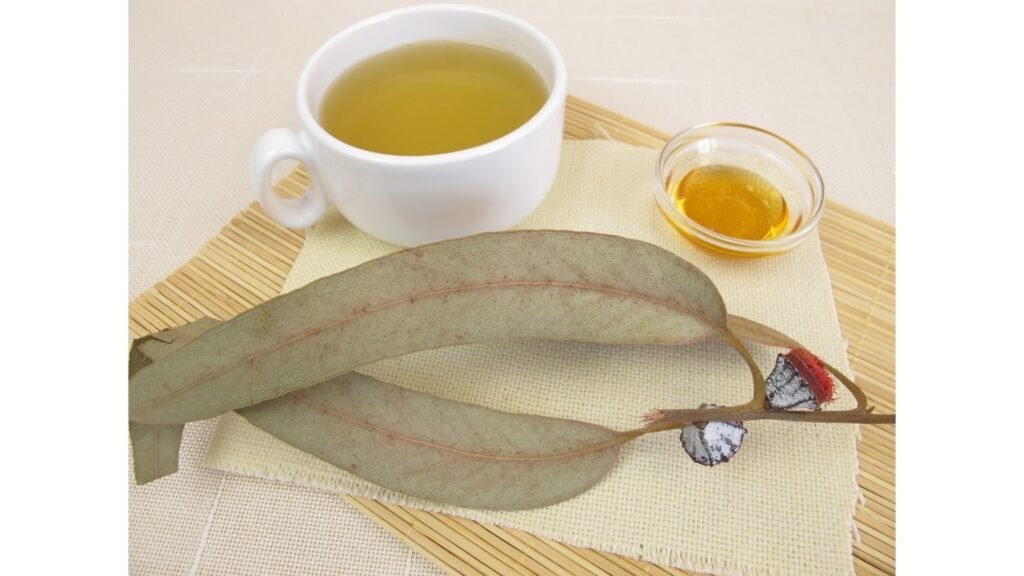 Eucalyptus honey